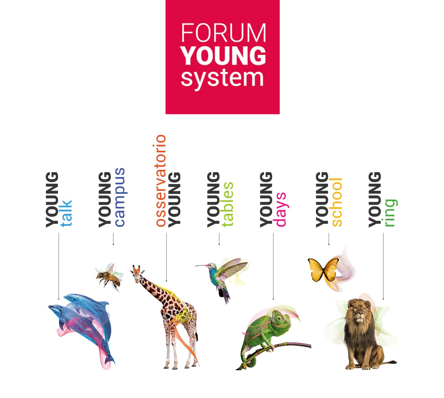 forum young system